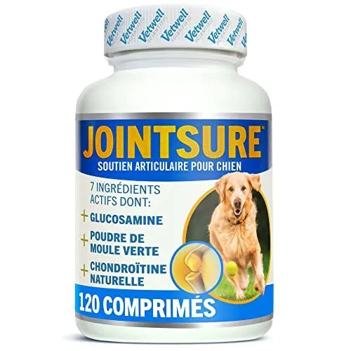 Jointsure 60 gélules arthrose & articulations