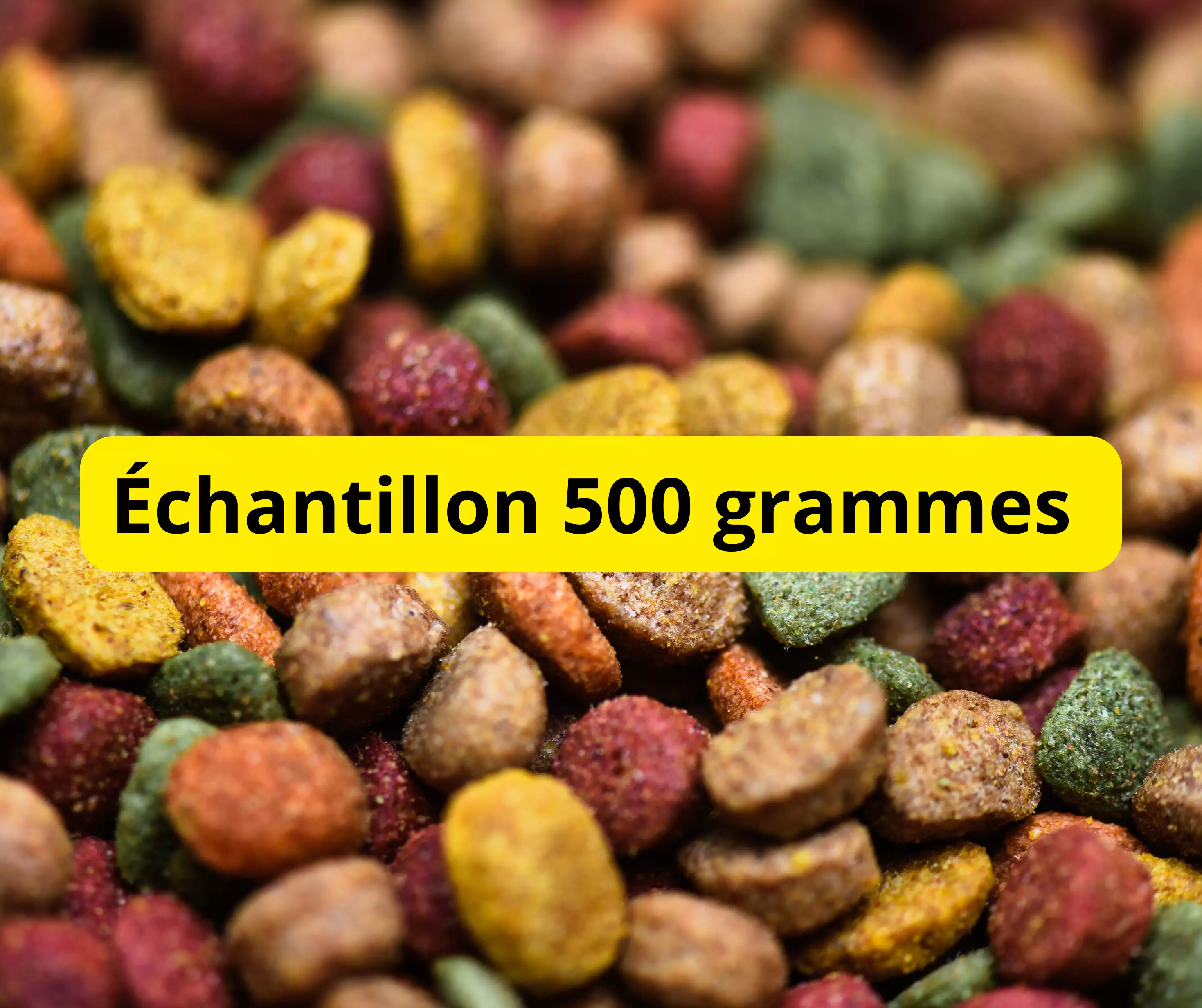 Echantillon 500 grammes croquettes économiques pour chats