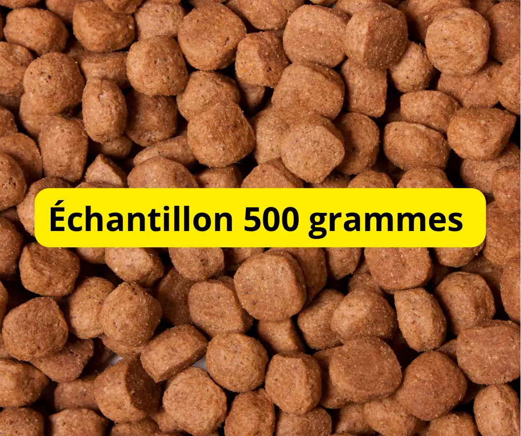 Échantillon 500 grammes croquettes chats milieu de gamme