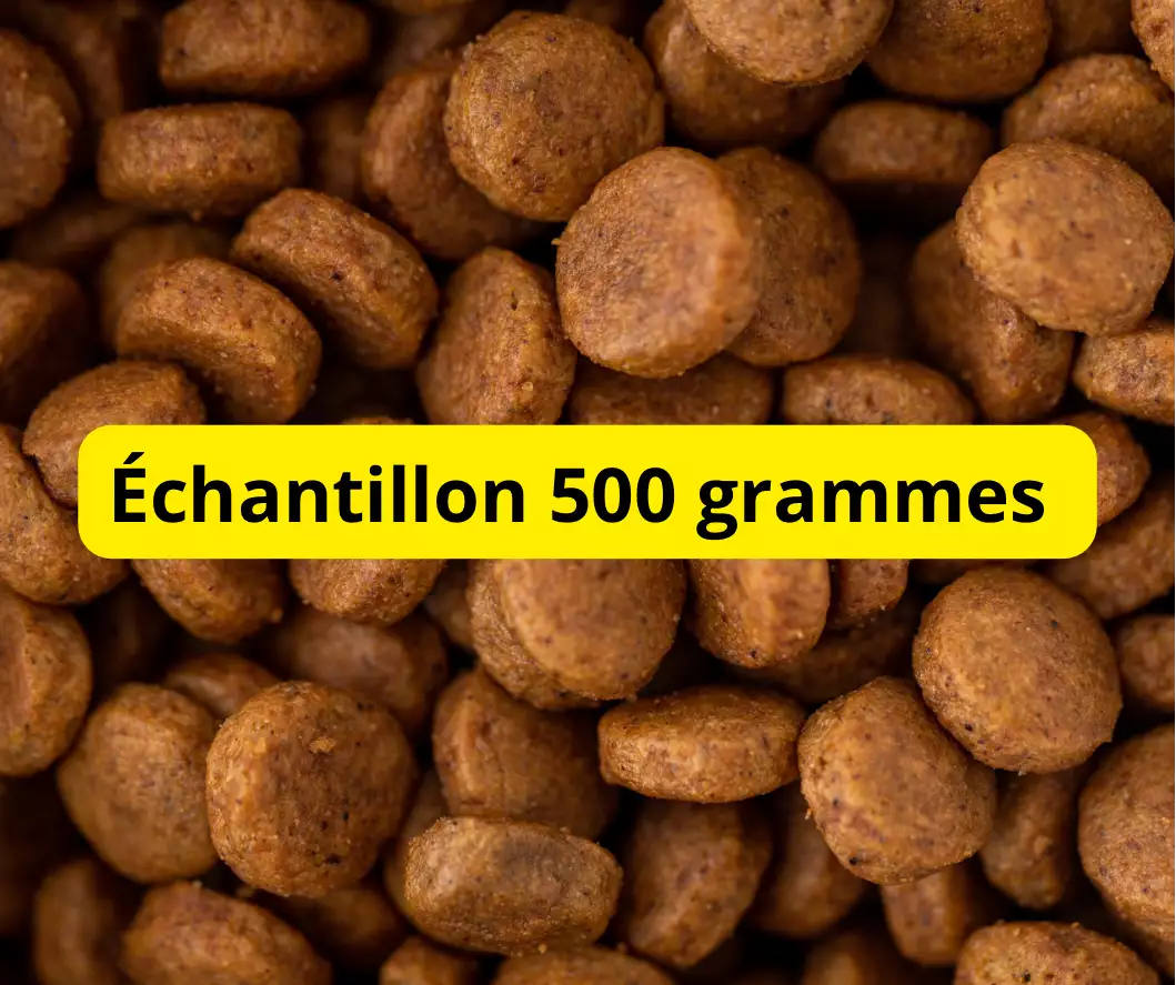 Echantillon croquettes Premium pour chats sans céréales